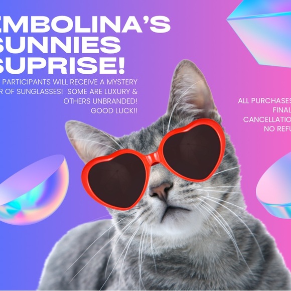 Other - Sunnies Surprise Mystery Game!